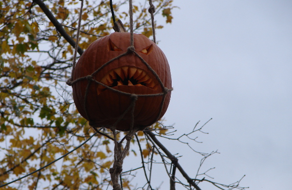 Hanging JackOLantern